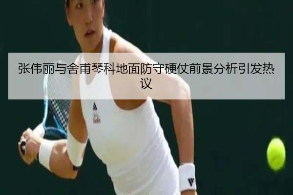 张伟丽与舍甫琴科地面防守硬仗前景分析引发热议（kaiyun）